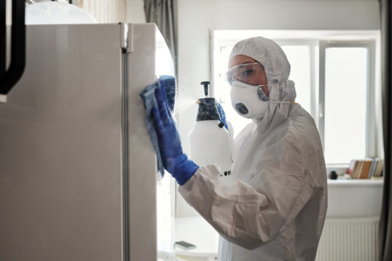 Maintaining a Spotless Home in Highlands Ranch: A Guide
