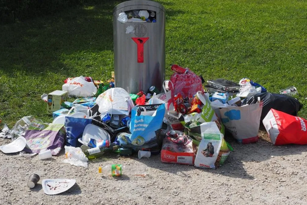 Benefits of Renting a Garbage Bin for Home Cleanouts