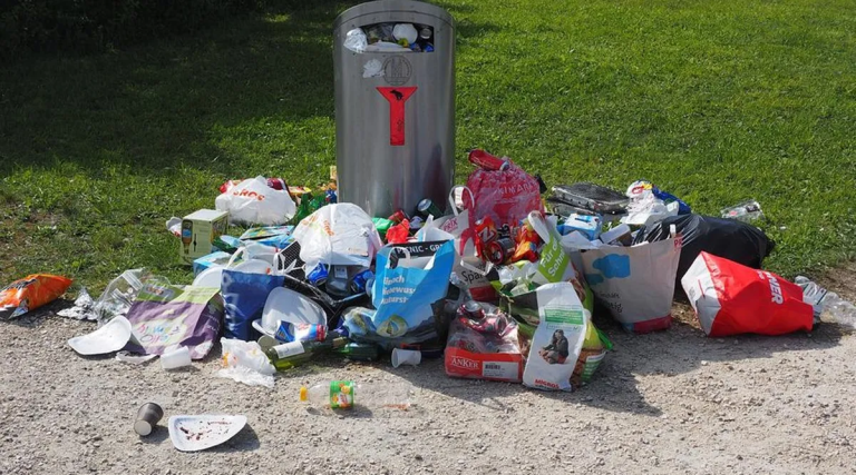 Benefits of Renting a Garbage Bin for Home Cleanouts