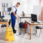 A Day in the Life of a Maid in Denver: Insights and Experiences