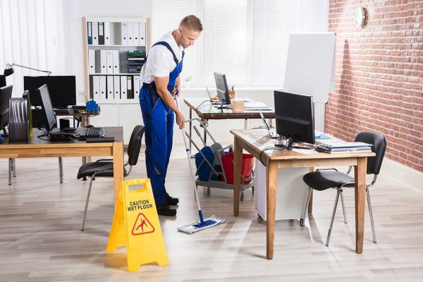 A Day in the Life of a Maid in Denver: Insights and Experiences