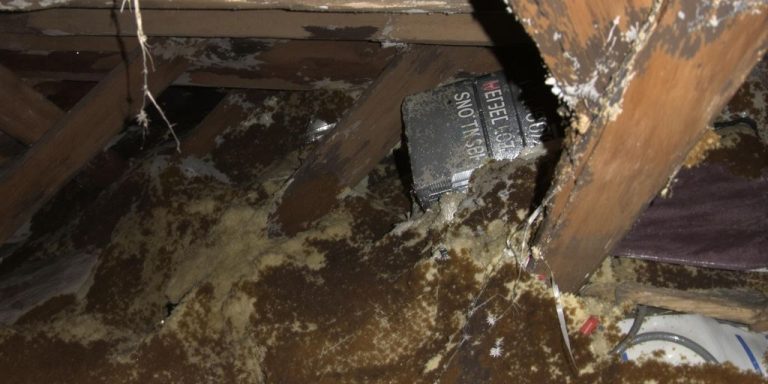 Dangers of Asbestos in Attics and Crawl Spaces