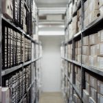 Archive, boxes, shelf — Conservation Efforts for Carpet Monkeys: What You Need to Know