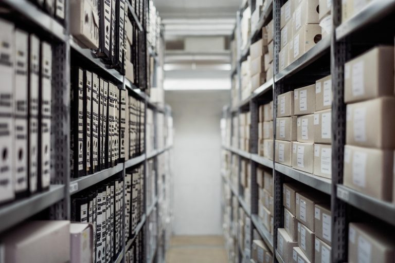 Archive, boxes, shelf — Conservation Efforts for Carpet Monkeys: What You Need to Know