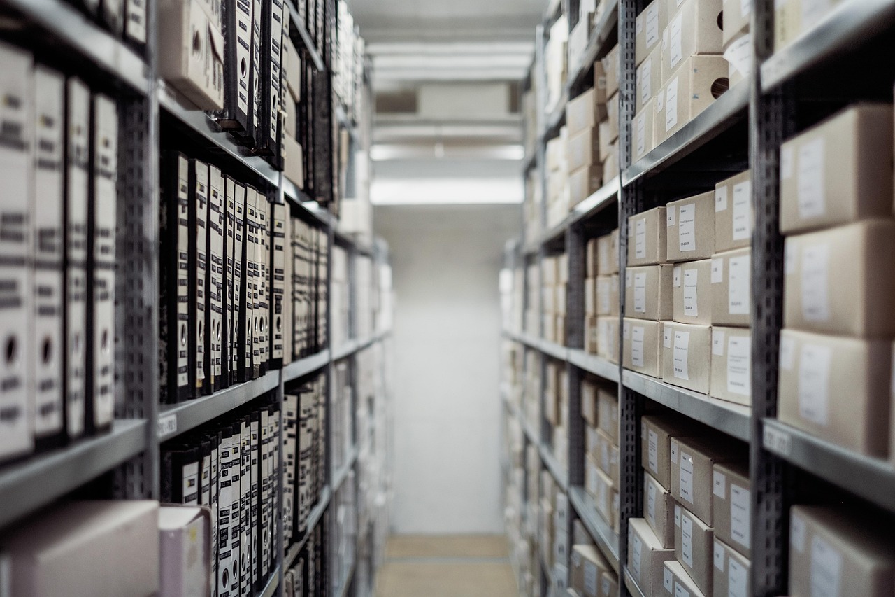 Archive, boxes, shelf — Conservation Efforts for Carpet Monkeys: What You Need to Know