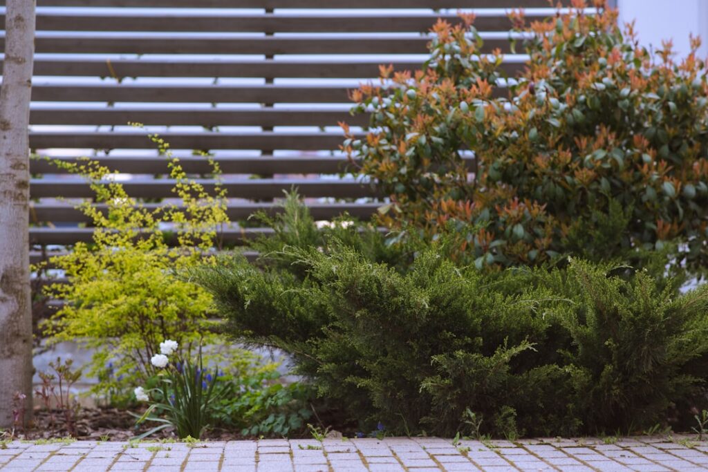 A landscaped area with shrubs and plants in front of a wooden fence.