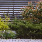 A landscaped area with shrubs and plants in front of a wooden fence.
